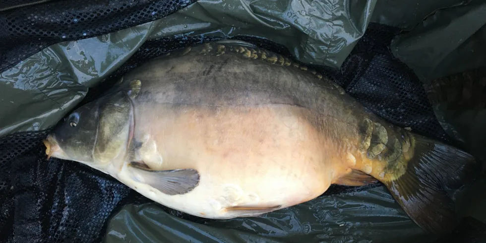 Úspěšná sezona s našimi produkty od Tomáše Gregora