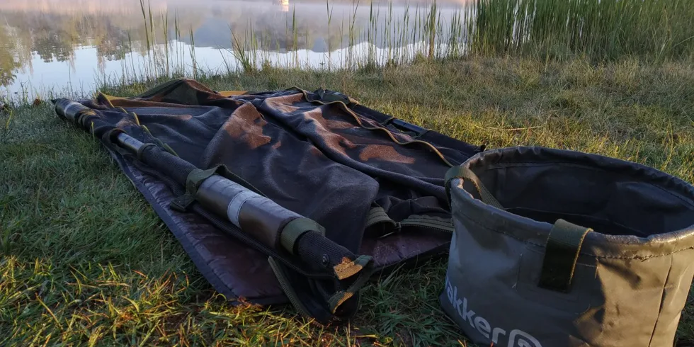 Zhrnutie sezóny 2020