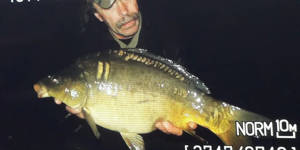 Kapřík s vašim logem :-)