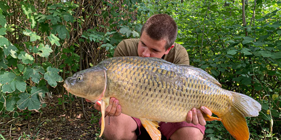 Teplé období v roce 2020