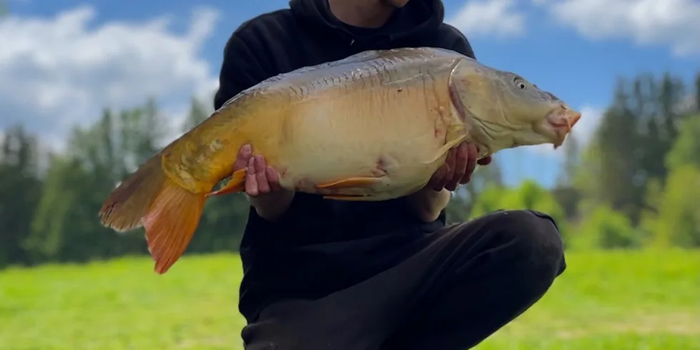 Na chvilku u malého revíru