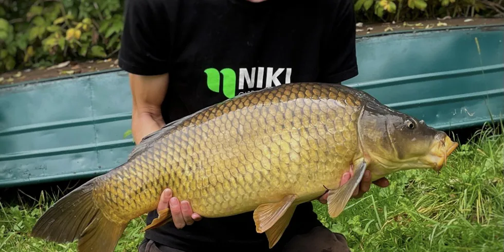 Krásná voda uprostřed lesa