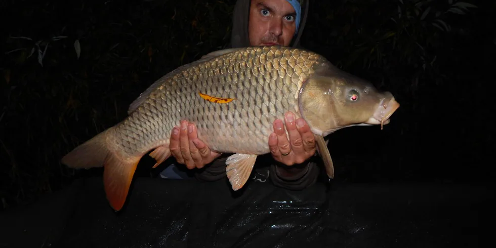 Pár dní předkrmování