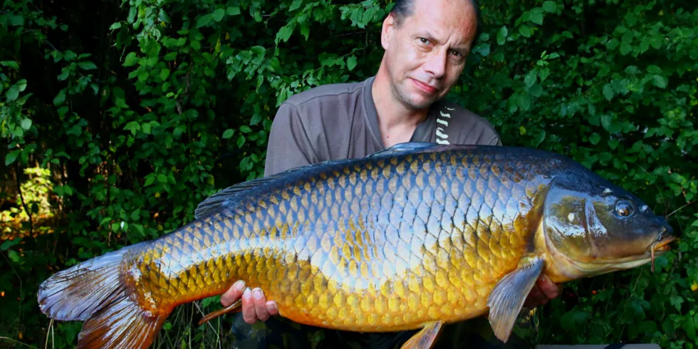 Sezóna s produkty NIKL