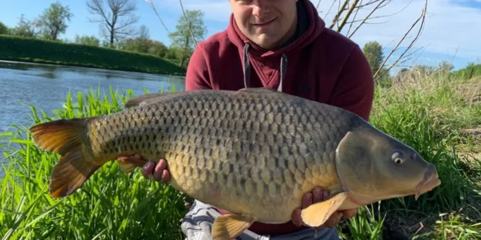 Květen loňského roku