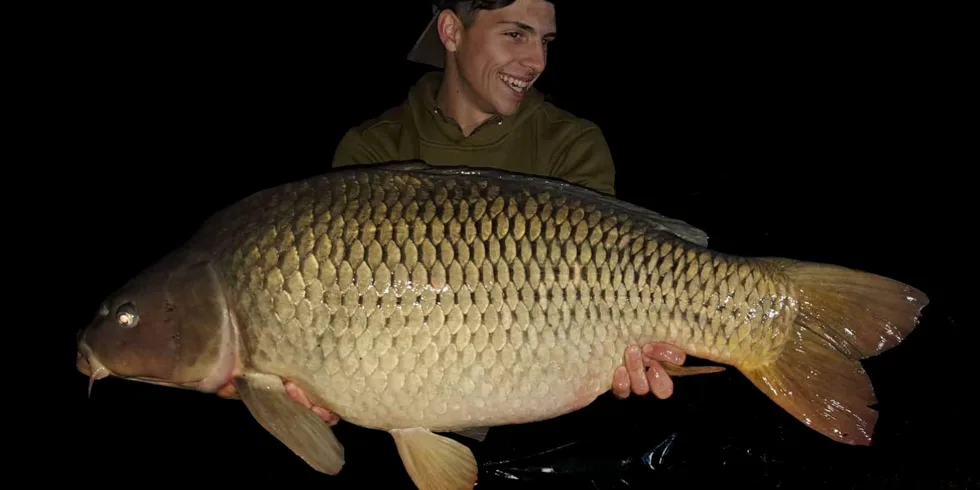 Letošní Orlík n.3