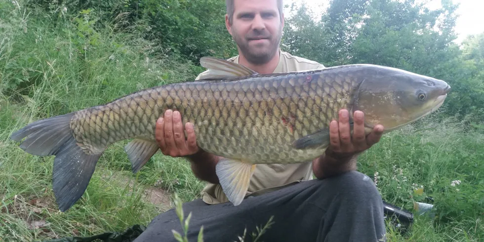 Pěkný úlovek amura