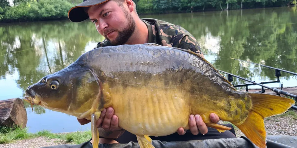 Kuličkám od Nikla začínám věřit