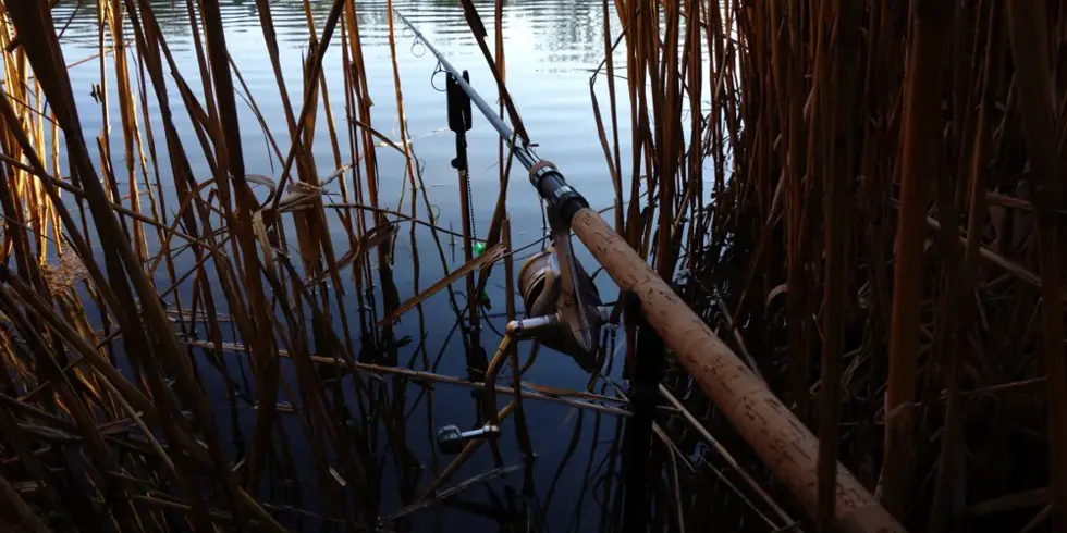 Brzda v podobě karantény