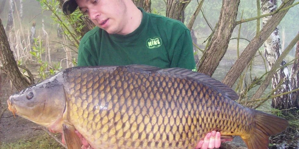 Fantastická ryba z kouzelné pískovny