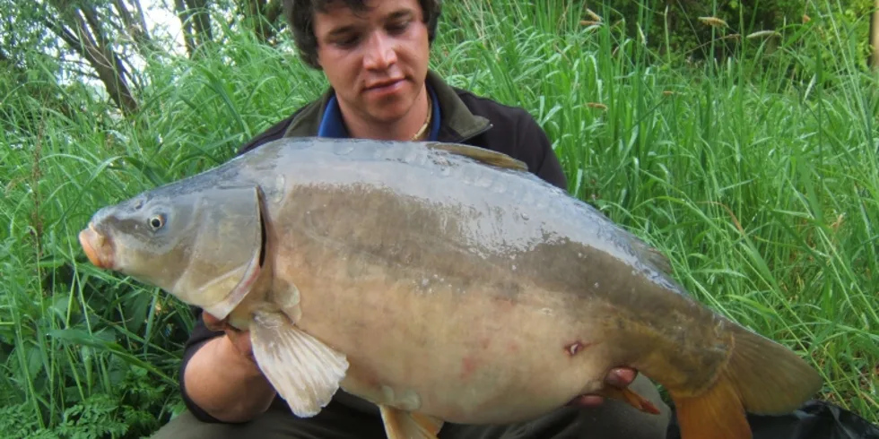 Jirka Majer slaví další úspěch na Labi