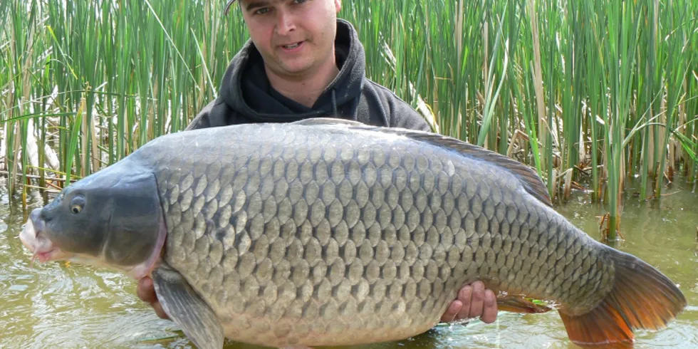 Pavel Šíma a jeho dvacetikilová odměna za trápení na D7!