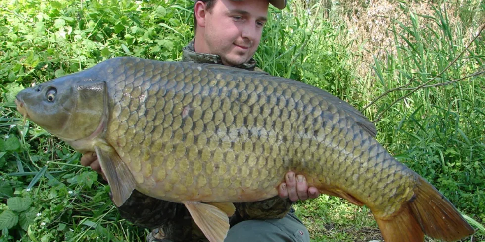 Stella team boduje na Pádu