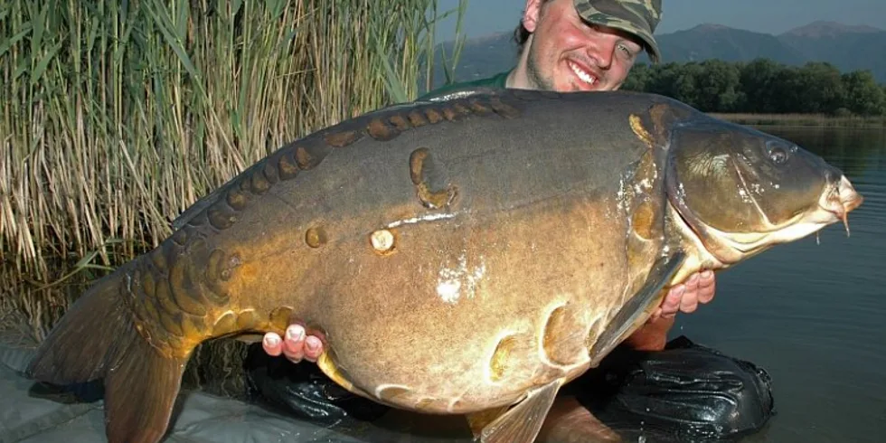 Food Signal řádil na svazové vodě v Itálii!!
