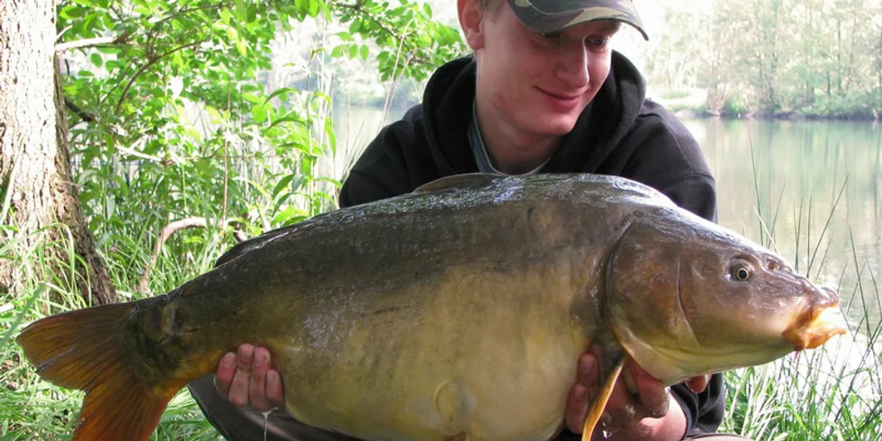 Těsně před třením