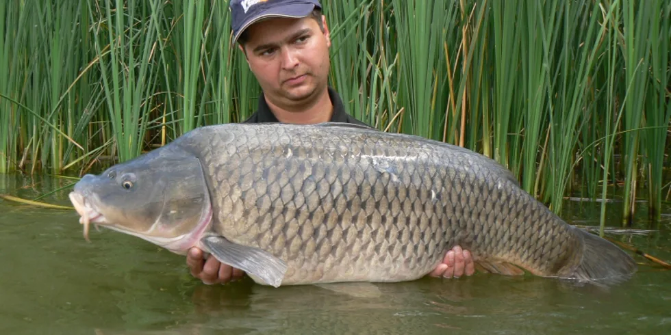 Mušovské víkendovky s Tuňákem