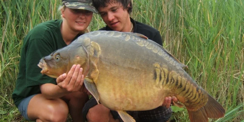 Scopexovo letní rodeo