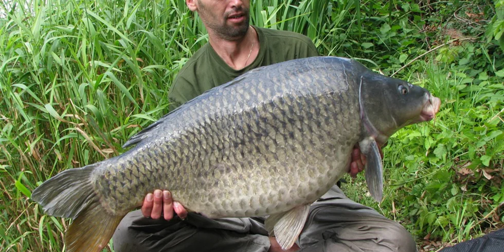 Poznávací výprava na francouzskou řeku