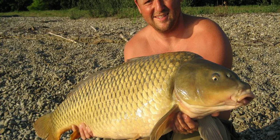 Letní monstrum z Králové