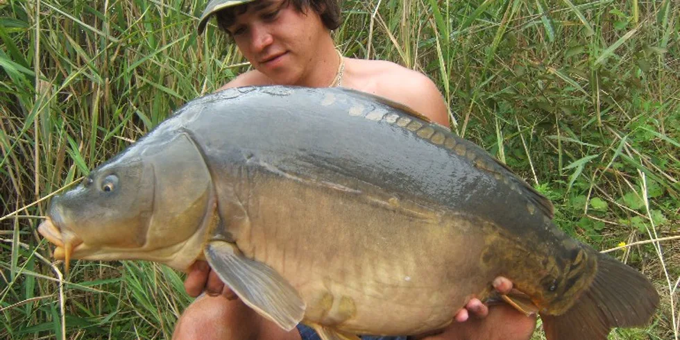 Scopex a jeho druhý letní zásah!