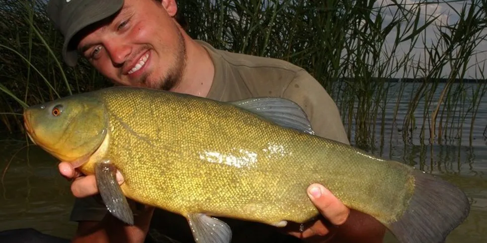 Letní průzkumná výprava do Francie 