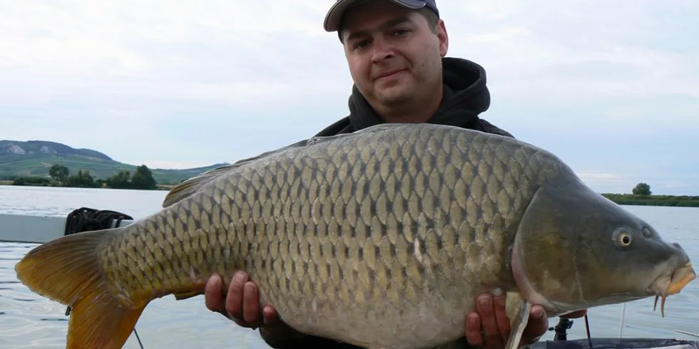 Mušovská vydra opět v akci!