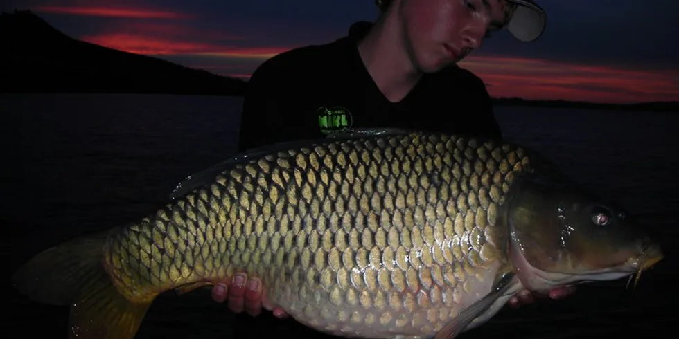 První pokus na Pálavě