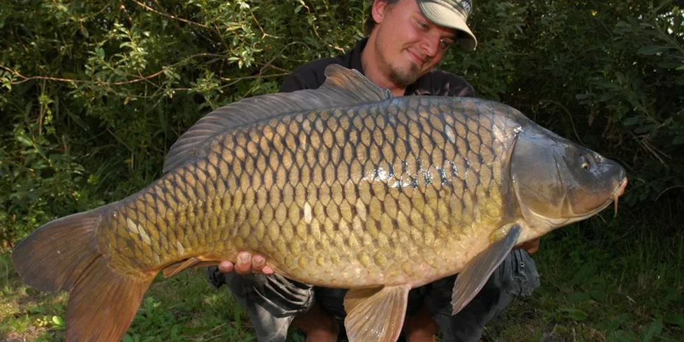 Šimansky s „doktorem“ na D7