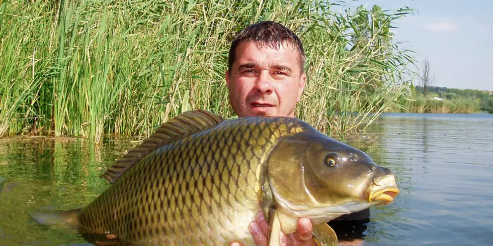 Dimi a jeho Maďarská bitva