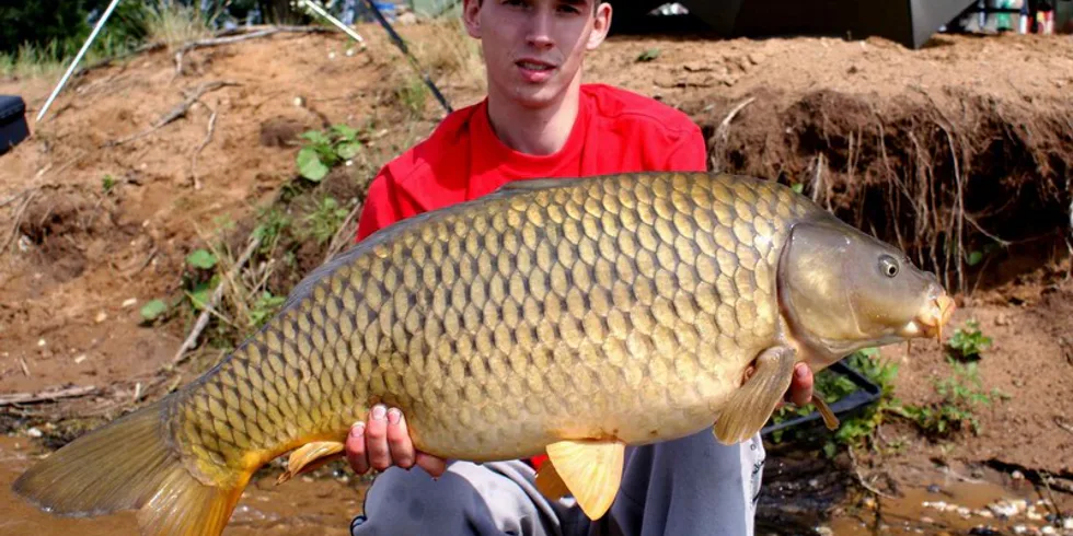 Přes Labe na Toušeň