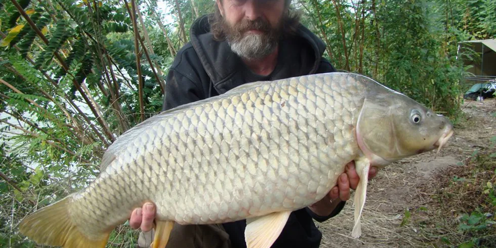 Od roll-balu k prutům