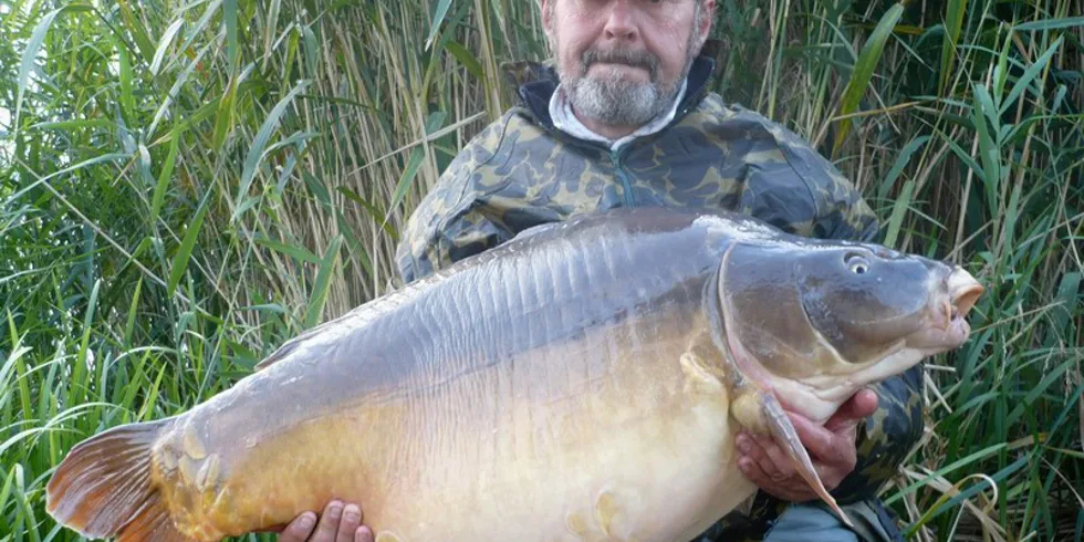 Palotáš na konci září