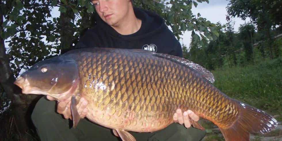 Další říční obři