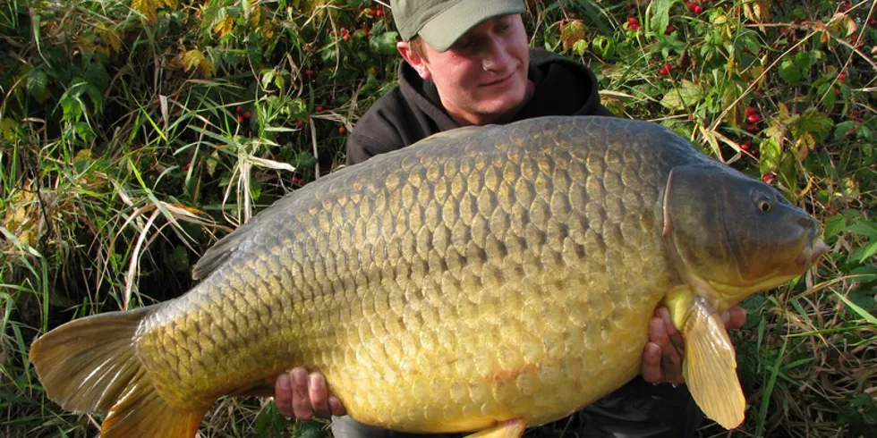 Vybarvený podzim na pískovně