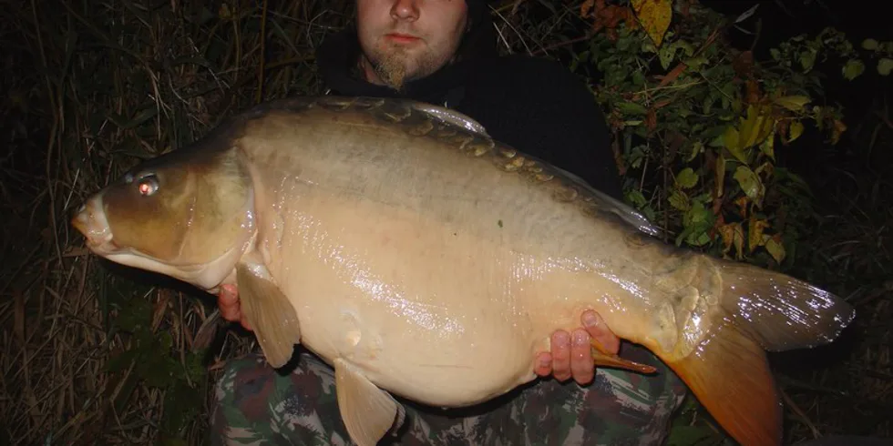 Mrazivé noci na pískovně