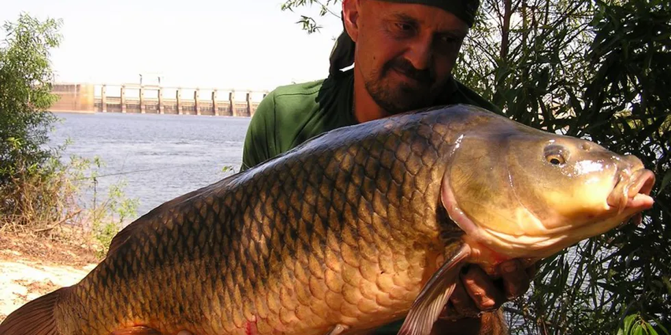 Florida na sklonku října
