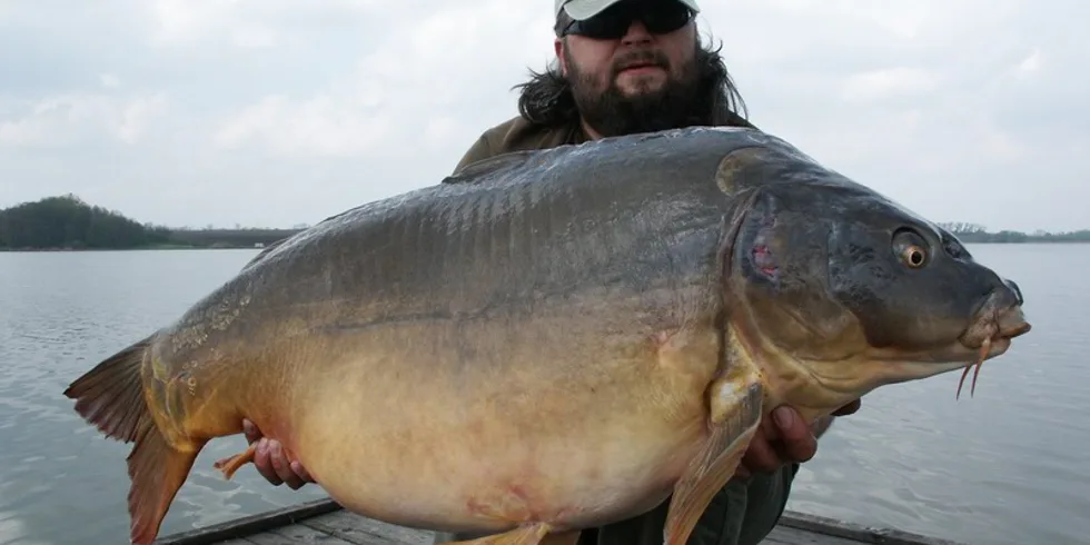 Jasný cíl = skvělý výsledek