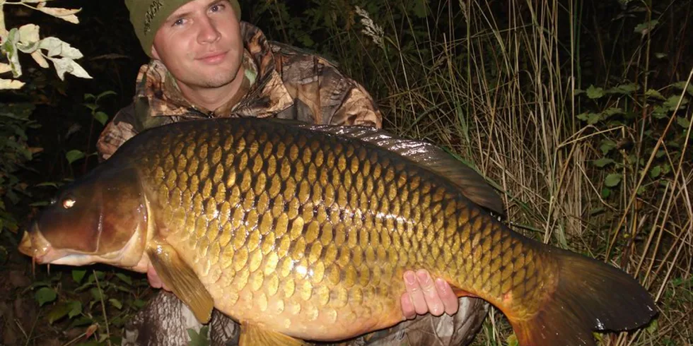 Davidovo podzimní ródeo