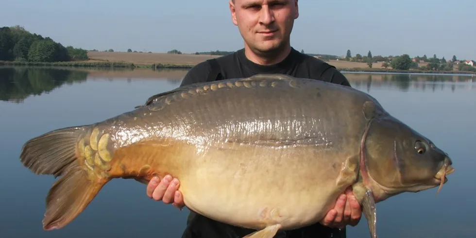 Kapří půst na Merenye