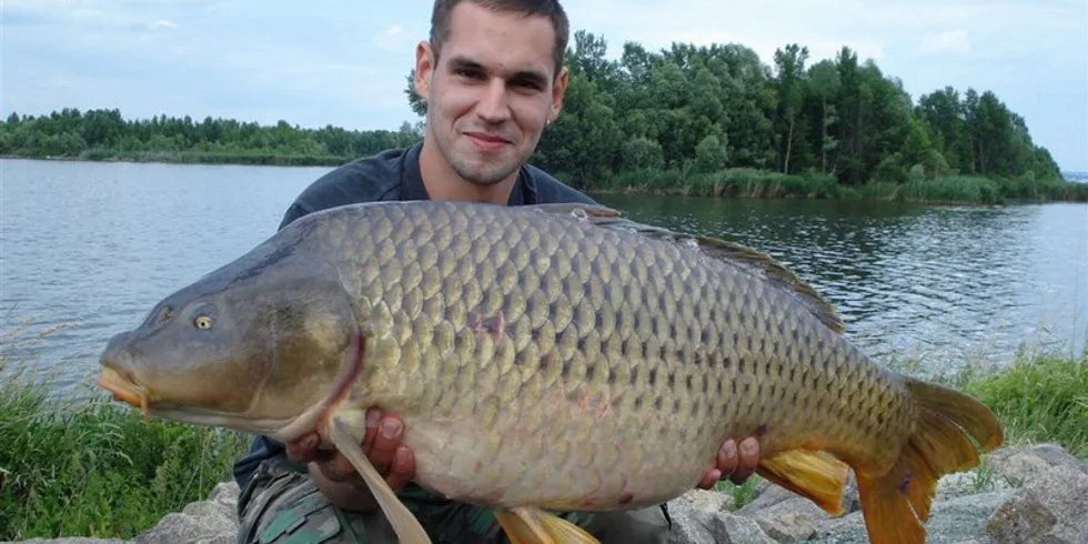 Mušovské království