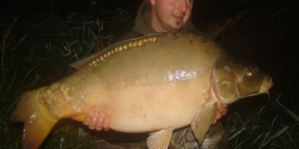 Chvilka pro Stella team