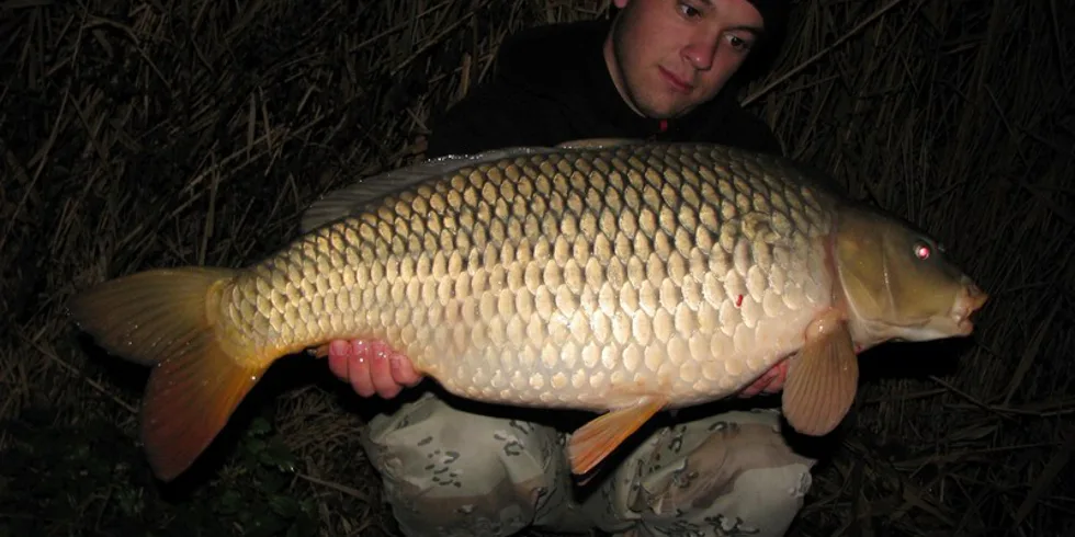 Aktuálně od vody...