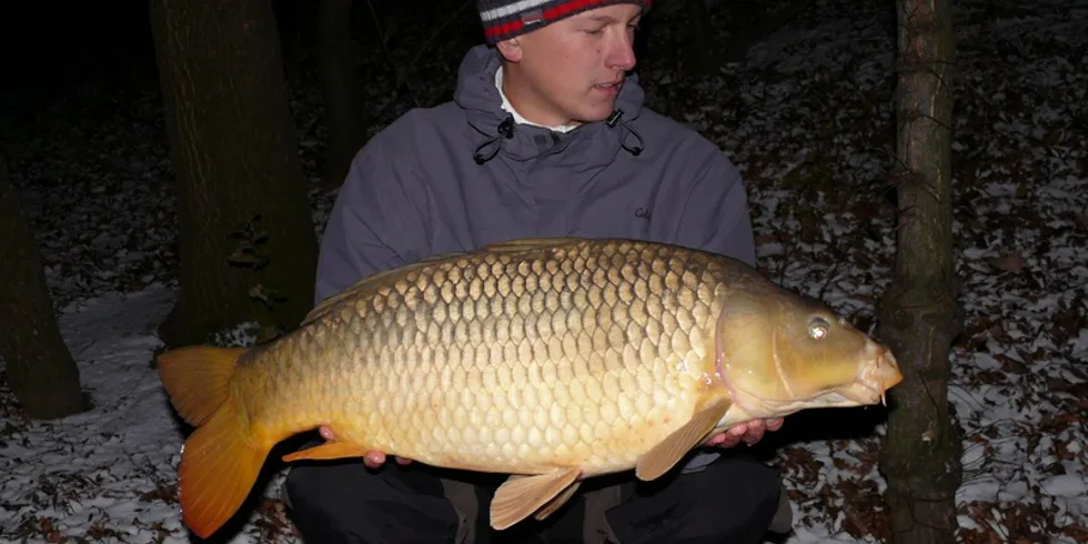 První kapři na sněhu!