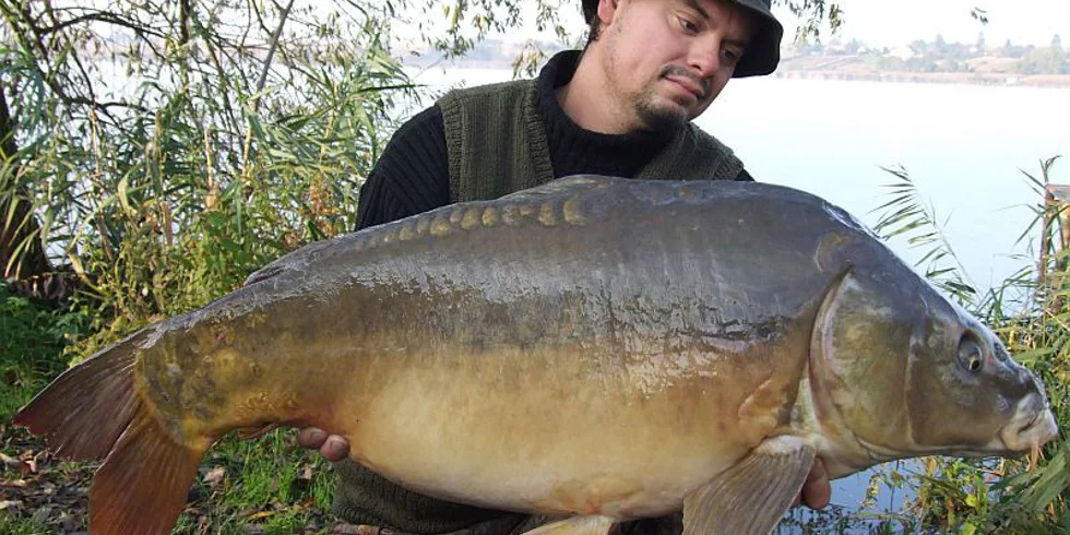 Úplněk nad Merenye