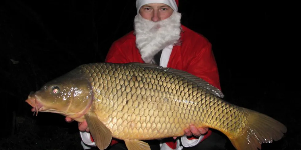 Petráskova předvánoční nadílka