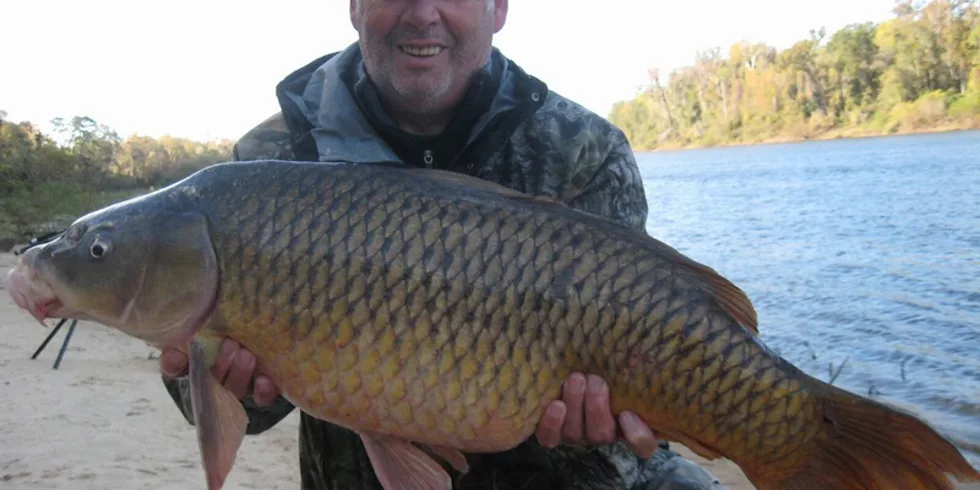 Osobáček po 50-ti letech, tisíce kilometrů od domova