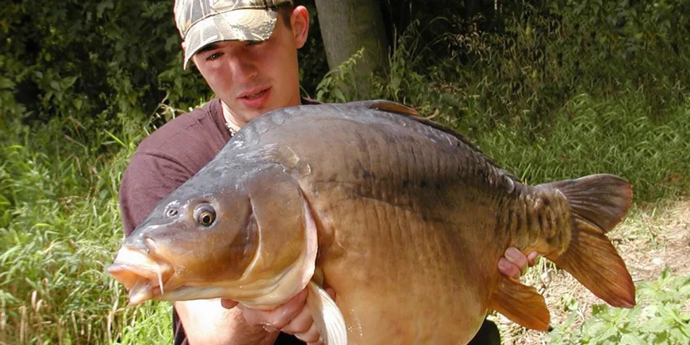 Ve správný čas na správném místě