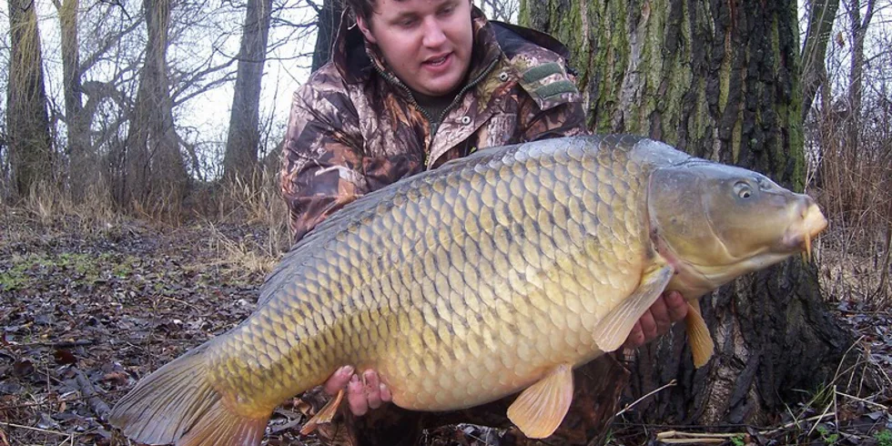 Další jarní obr...!