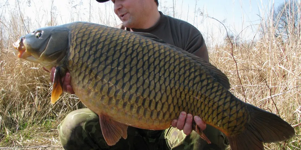 Tondova první výprava... 