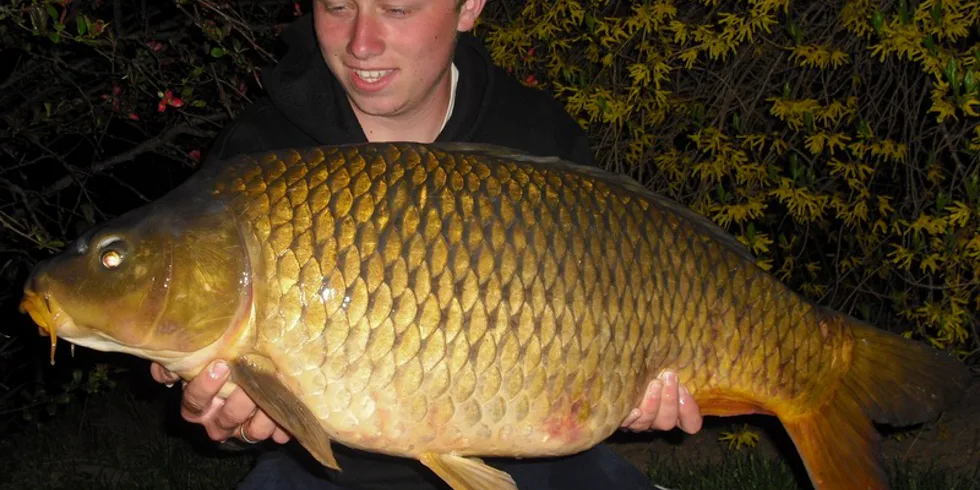 Velikonoce Nikelína juniora... 